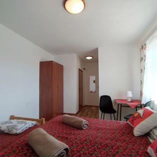"U Skowronkow" Bed & Breakfast Bukowina Tatrzanska Exterior photo